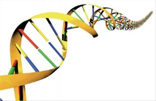 Senado aprova banco de DNA de criminosos » 





