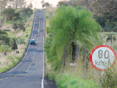 Asfalto das rodovias de MS terá dez anos de vida útil