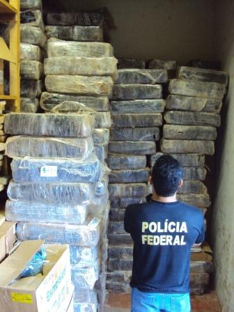 PF incinera mais de 8 toneladas de maconha »