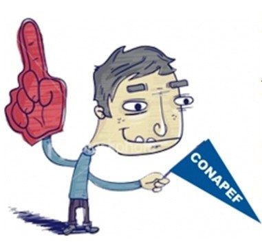 Meu primeiro CONAPEF